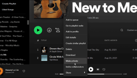如何在 Spotify 上将播放列表设为私有 如何在 Spotify 上将播放列表设为私有