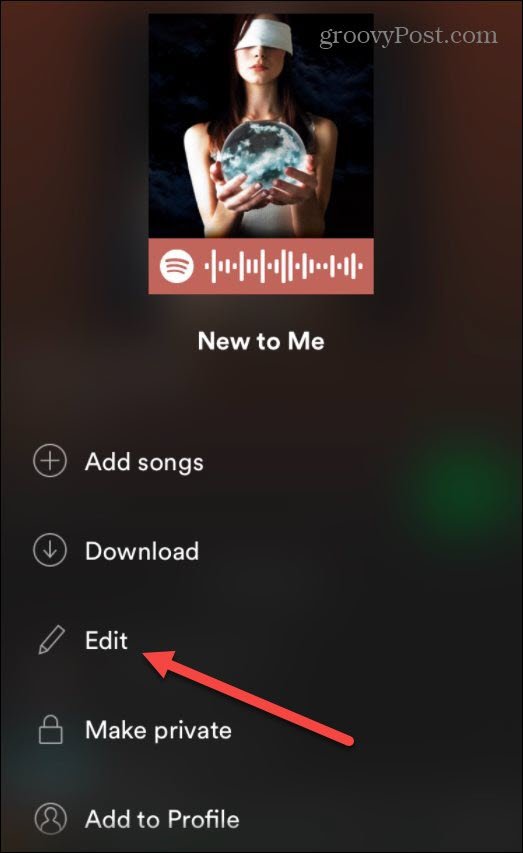 如何在 iPhone 或 iPad 设备上的 Spotify 中更改播放列表图片 如何在 iPhone 或 iPad 设备上的 Spotify 中更改播放列表图片