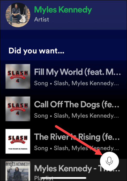 如何使用 Spotify 语音命令 如何使用 Spotify 语音命令