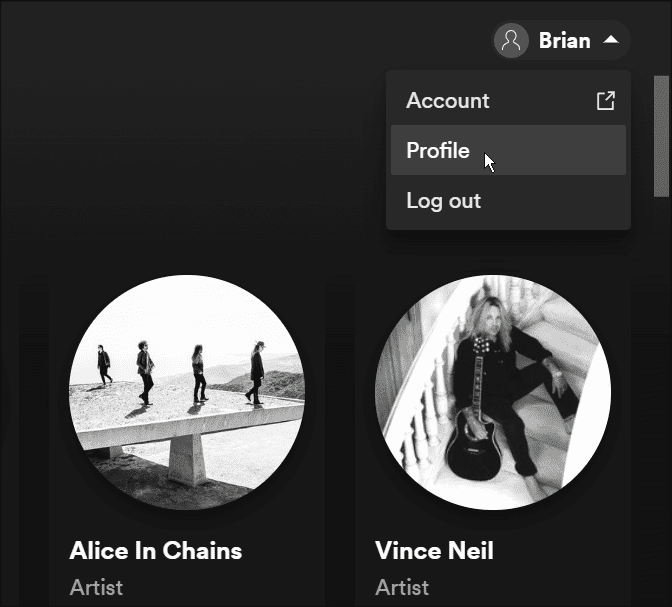 profile-button-Access-Your-Spotify-listening-History