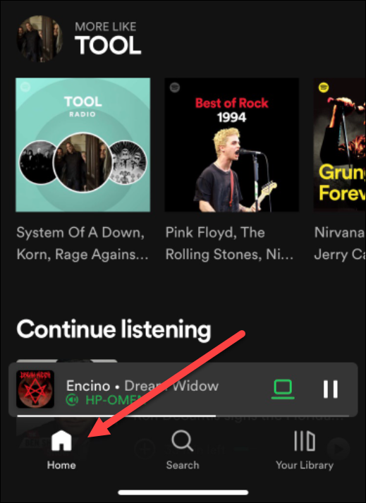 spotify-mobie-access-your-spotify-listening-history