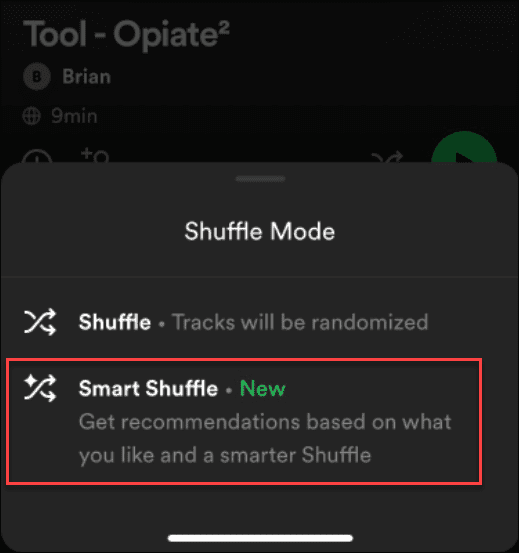 如何修复 Spotify Shuffle 不工作 如何修复 Spotify Shuffle 不工作