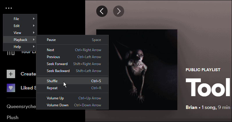 如何修复 Spotify Shuffle 不工作 如何修复 Spotify Shuffle 不工作
